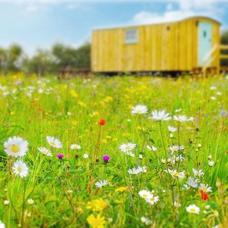 Honeysuckle Farm Holidays By Stay In Suffolk, Monk Soham Woodbridge Exteriör bild