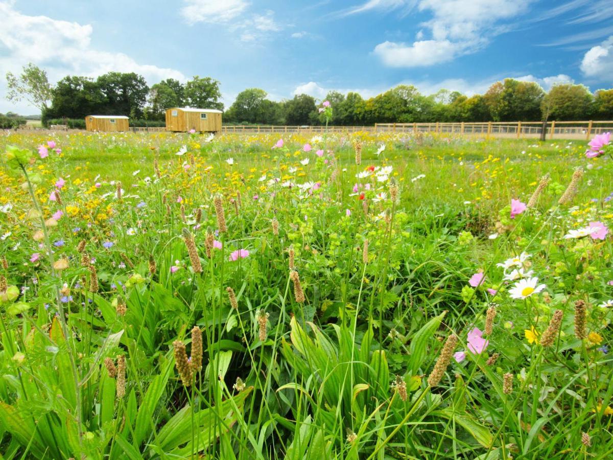 Honeysuckle Farm Holidays By Stay In Suffolk, Monk Soham Woodbridge Exteriör bild
