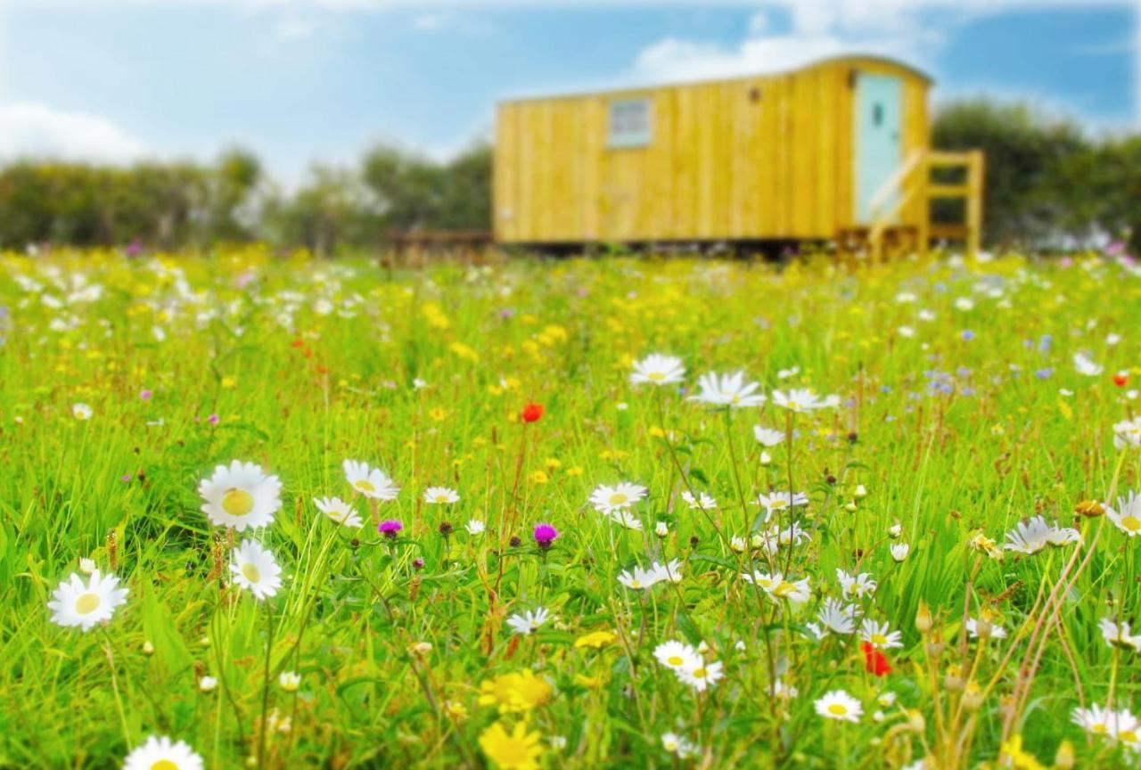 Honeysuckle Farm Holidays By Stay In Suffolk, Monk Soham Woodbridge Exteriör bild